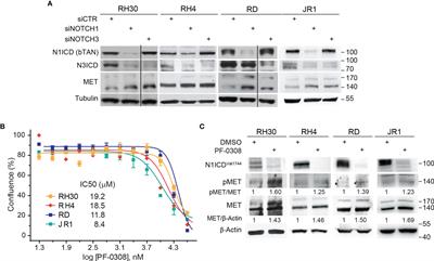 MET Inhibition Sensitizes Rhabdomyosarcoma Cells to NOTCH Signaling Suppression